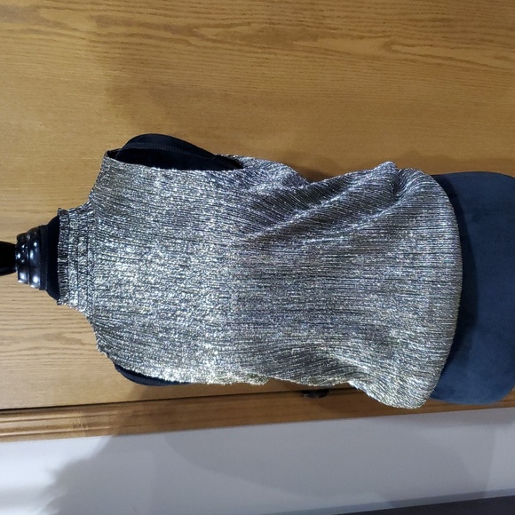 Banana Republic NWT Metallic Sleeveless High Collar Shiny Top - Picture 1 of 8